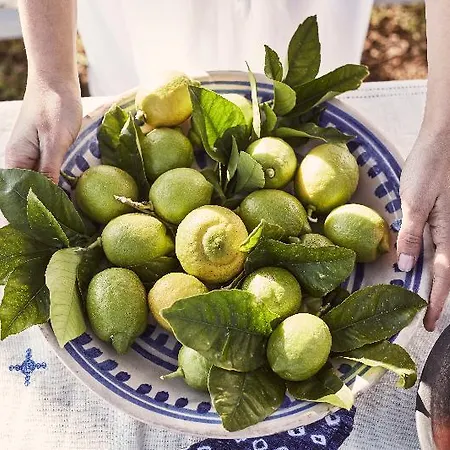 Nomad Mykonos كالافاتيس