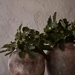 Nomad Mykonos 5* Kalafáti